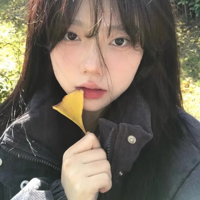笨贼向前冲