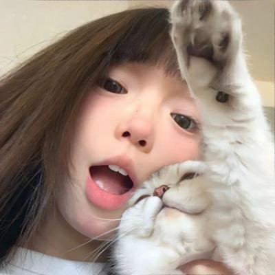 完全夏绿蒂